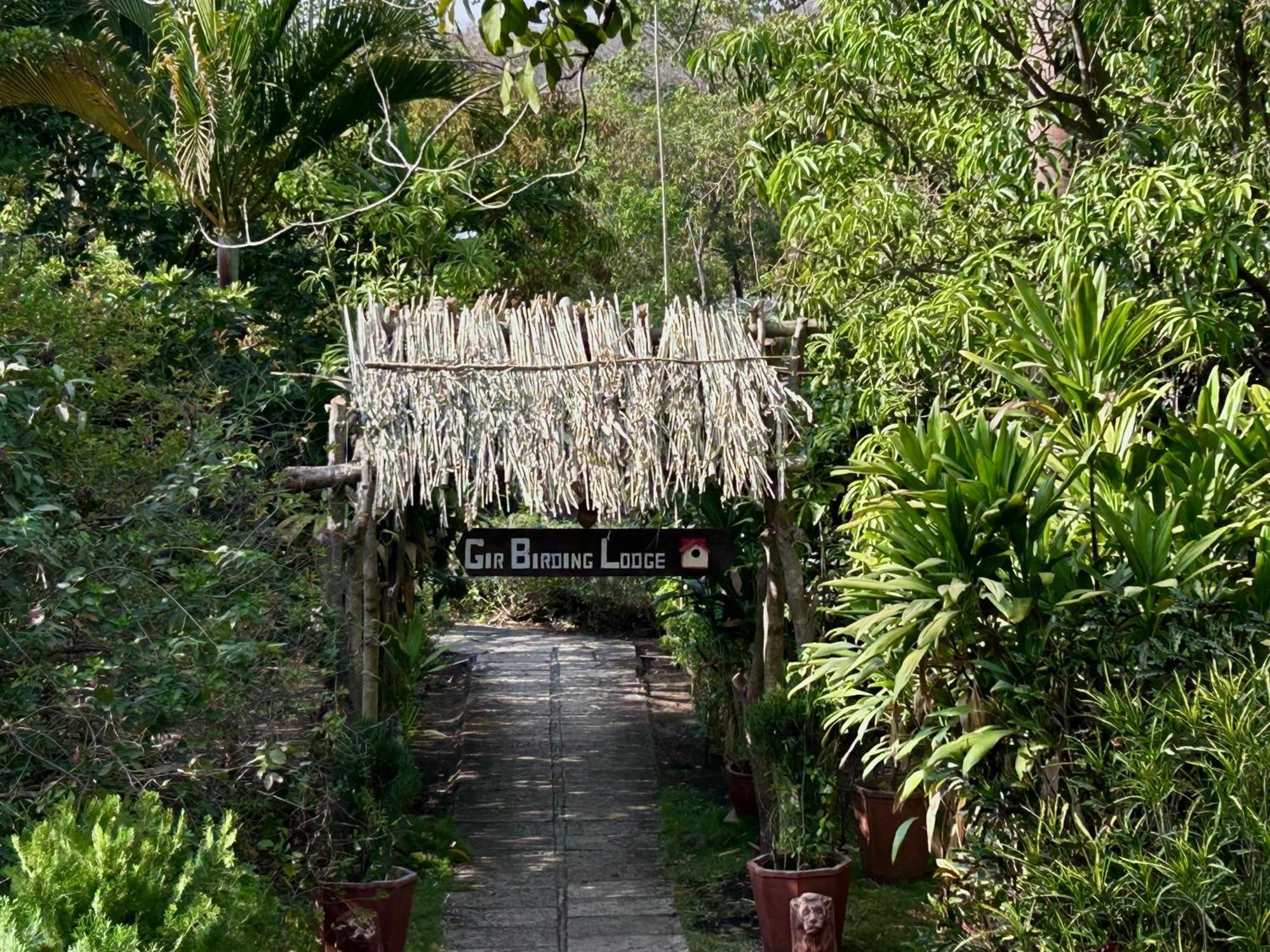 Gir Birding Lodge Sasan Gir Eksteriør billede