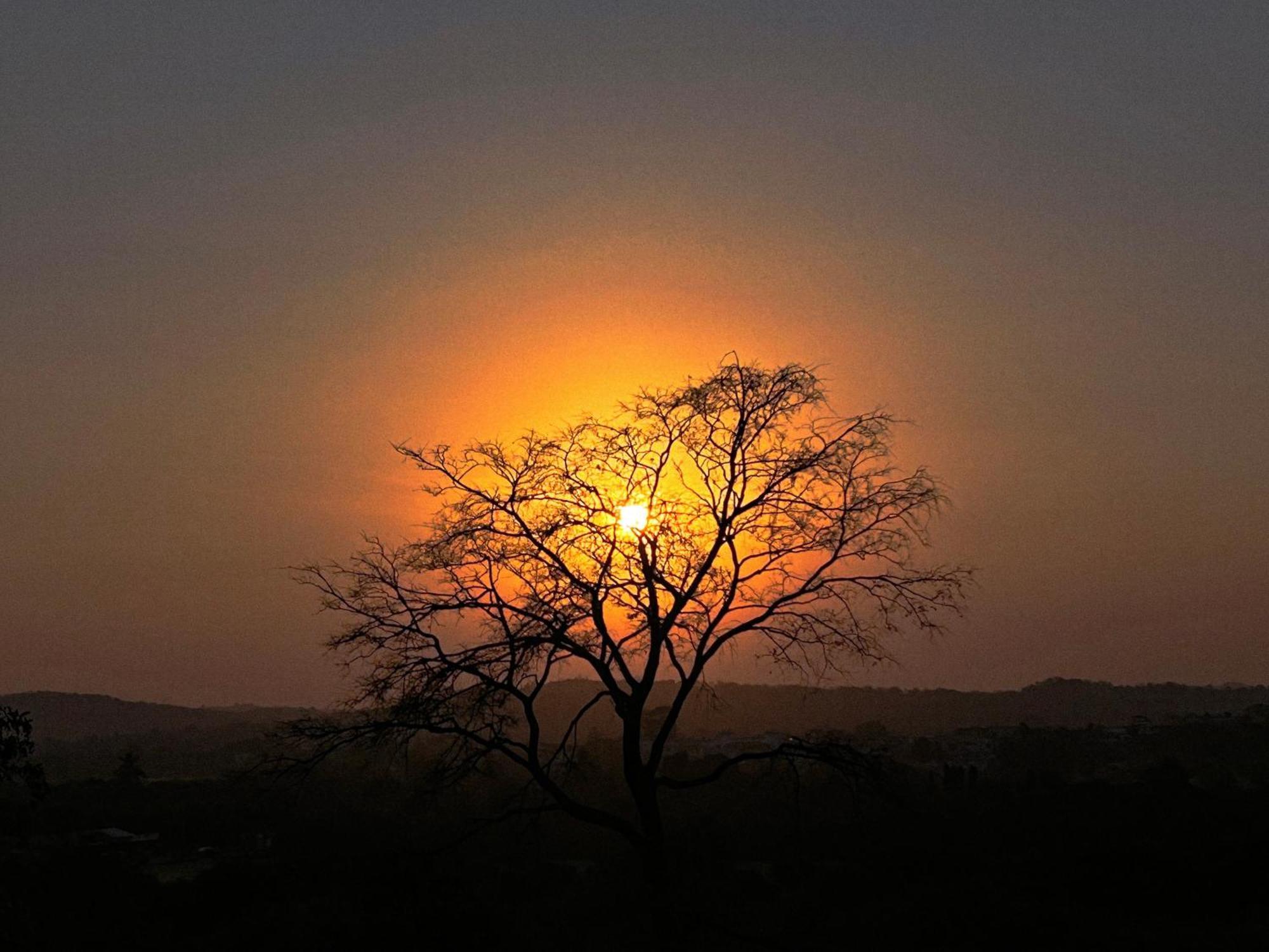Gir Birding Lodge Sasan Gir Eksteriør billede